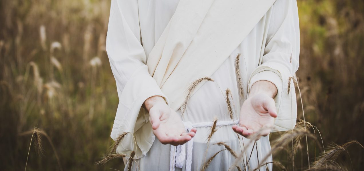 Lent Reflections 2024: Lent 6 – Hands in Holy Week