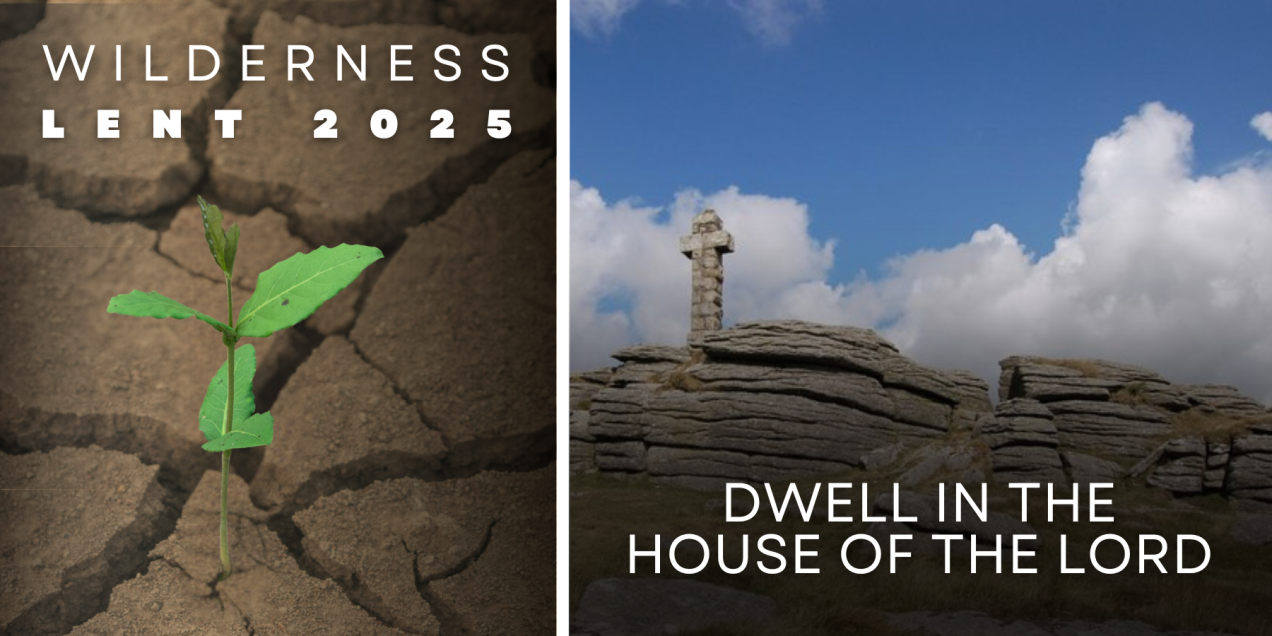 Lenten Reflection: Dwell in the House of the Lord