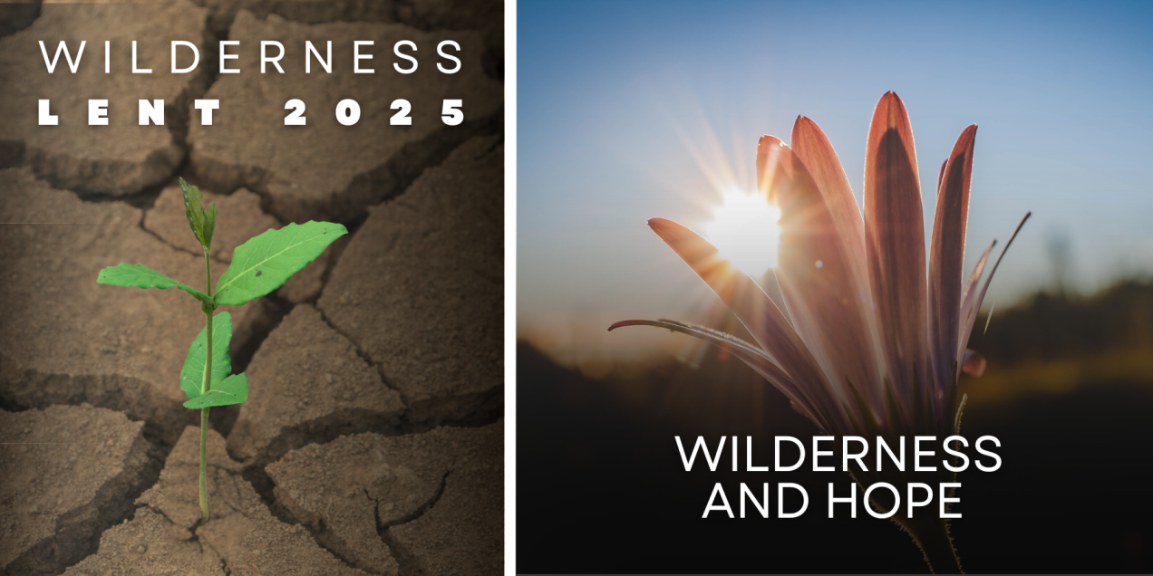 Lenten Reflection: Wilderness and Hope