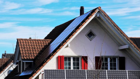 Reminder: Grant Available for Bird Proofing Solar Panels