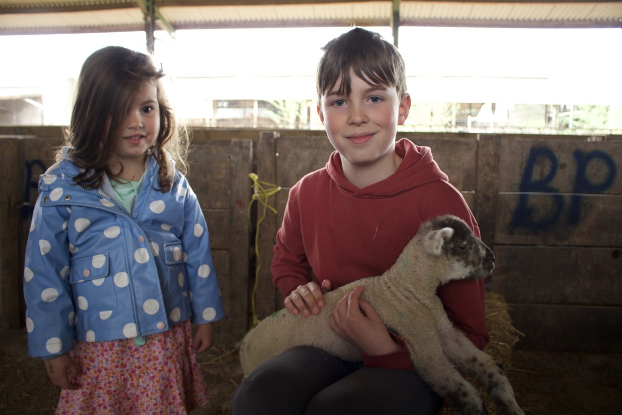 Rural Community Gathers Together for the Blessing of the Lambs